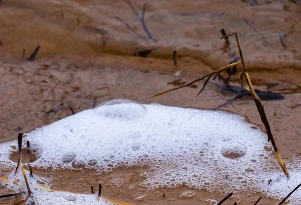 pexels.com foto af Damir K .: Hydrofobisk jord sæbeurt