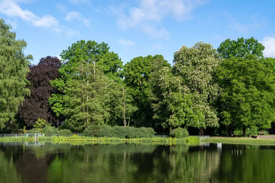 pexels.com foto af Mohamed B.: Vandet æbletræ sommer