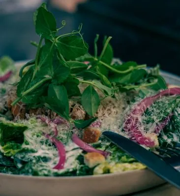 pexels.com foto af Dimitri Orlow: Genredigeret grøn salat