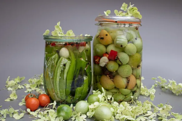 pexels.com foto af Ingrid Beck: Fermenterede våde tomatfrø