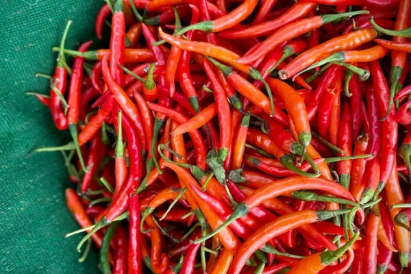pexels.com foto af Nishant Aneja: Rød stærk chili