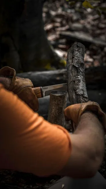 pexels.com foto af Araz Yurtseven: Podekniv bark gren
