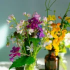 pexels.com foto af Ludmila Padnevici: Snitblomster i vase