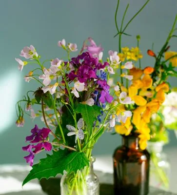 pexels.com foto af Ludmila Padnevici: Snitblomster i vase