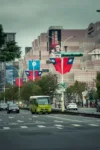 pexels.com foto af Jimmy Liao: Kæmpe træer Taiwan