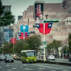 pexels.com foto af Jimmy Liao: Kæmpe træer Taiwan