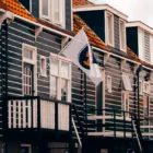 pexels.com foto af Diego: Olieradise i marken