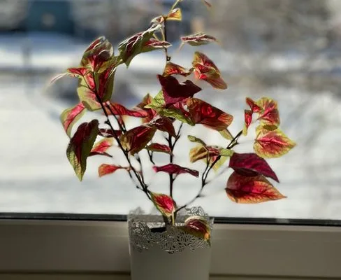 pexels.com foto af 𝐘𝐀𝐑𝐄𝐃 𝐏𝐢𝐜𝐭𝐮𝐫𝐞𝐬: Elektrisk impuls plante