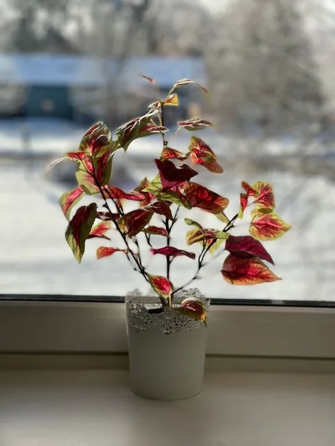 pexels.com foto af 𝐘𝐀𝐑𝐄𝐃 𝐏𝐢𝐜𝐭𝐮𝐫𝐞𝐬: Elektrisk impuls plante