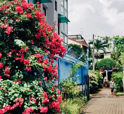 pexels.com foto af billow926: Sjælden dæmonblomst Thailand