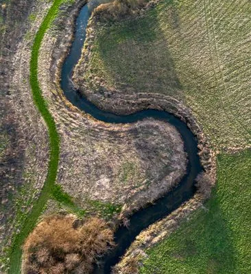 pexels.com foto af RENE JENSEN: Træblad efterår afstødning