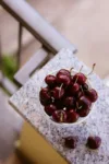pexels.com foto af Nati: Visne stauder vinter