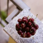 pexels.com foto af Nati: Visne stauder vinter