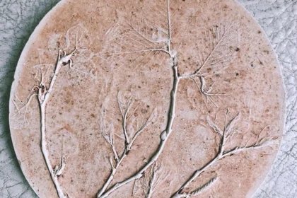 pexels.com foto af Ekaterina: fossile planteaftryk