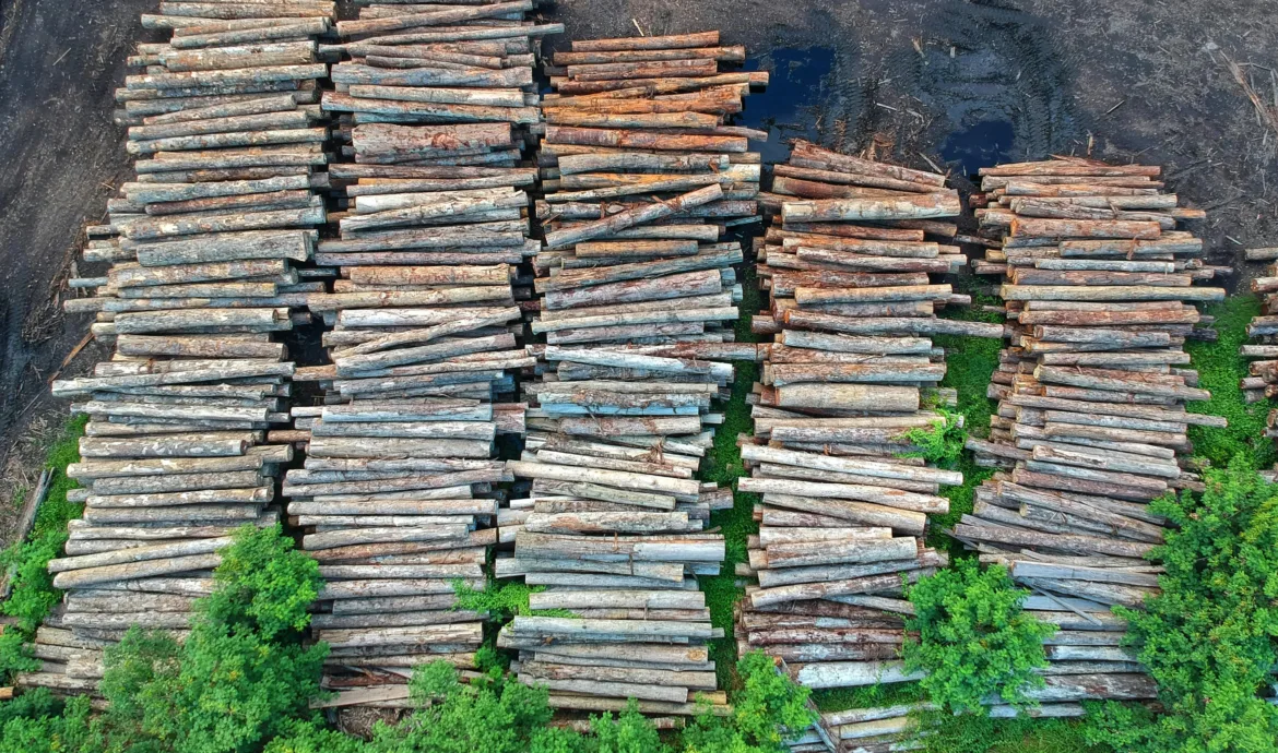 pexels.com foto af Pok Rie: skovrydning