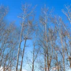 pexels.com foto af Quang Nguyen Vinh