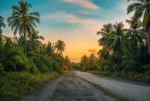 pexels.com foto af Mohamed Sarim: træer i troperne