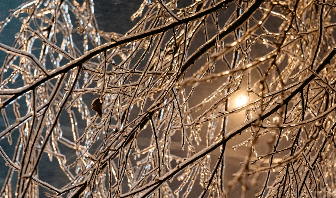 pexels.com foto af Yan Krukau: nattefrost